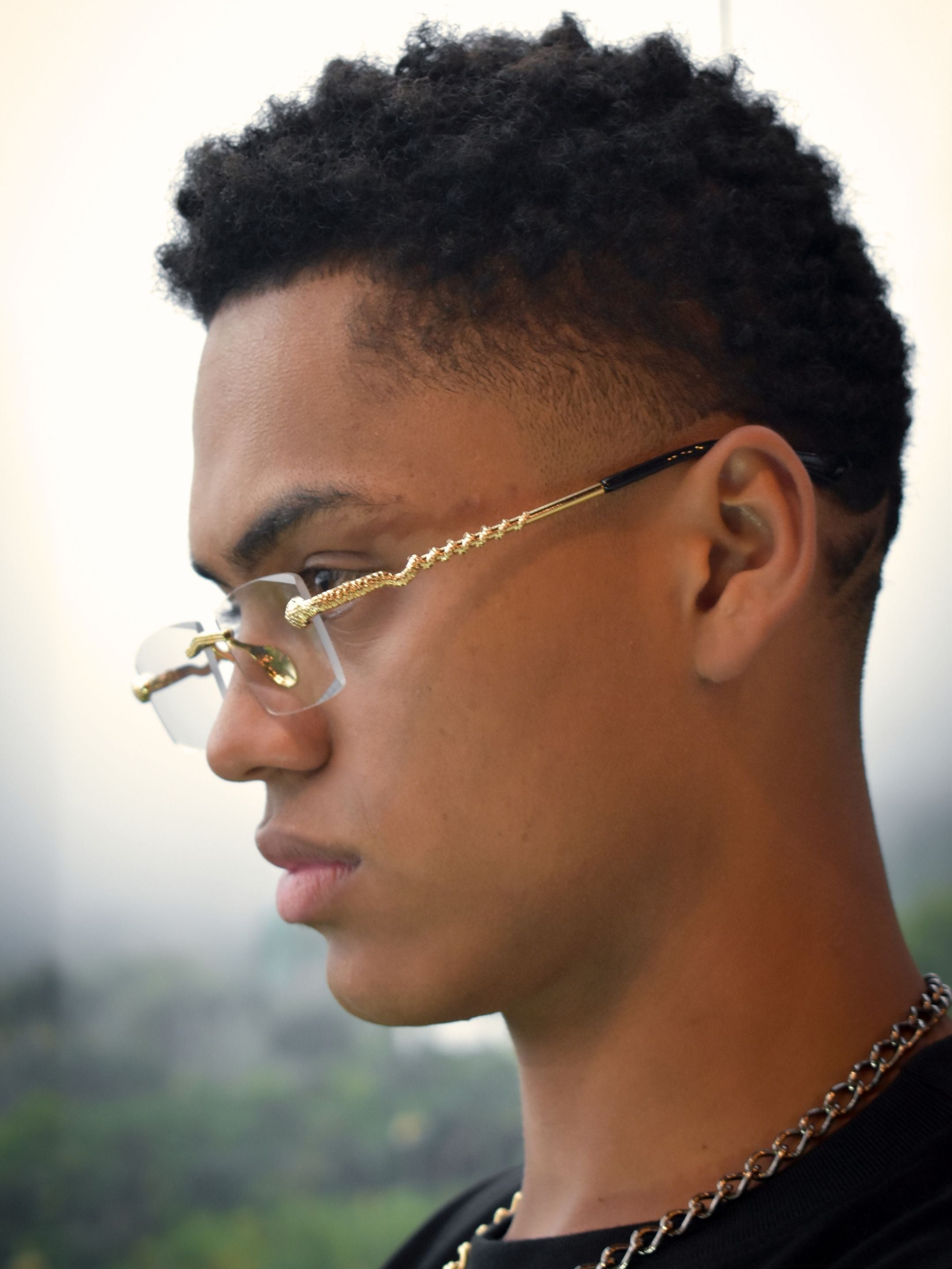 Serpent Fotocromatic