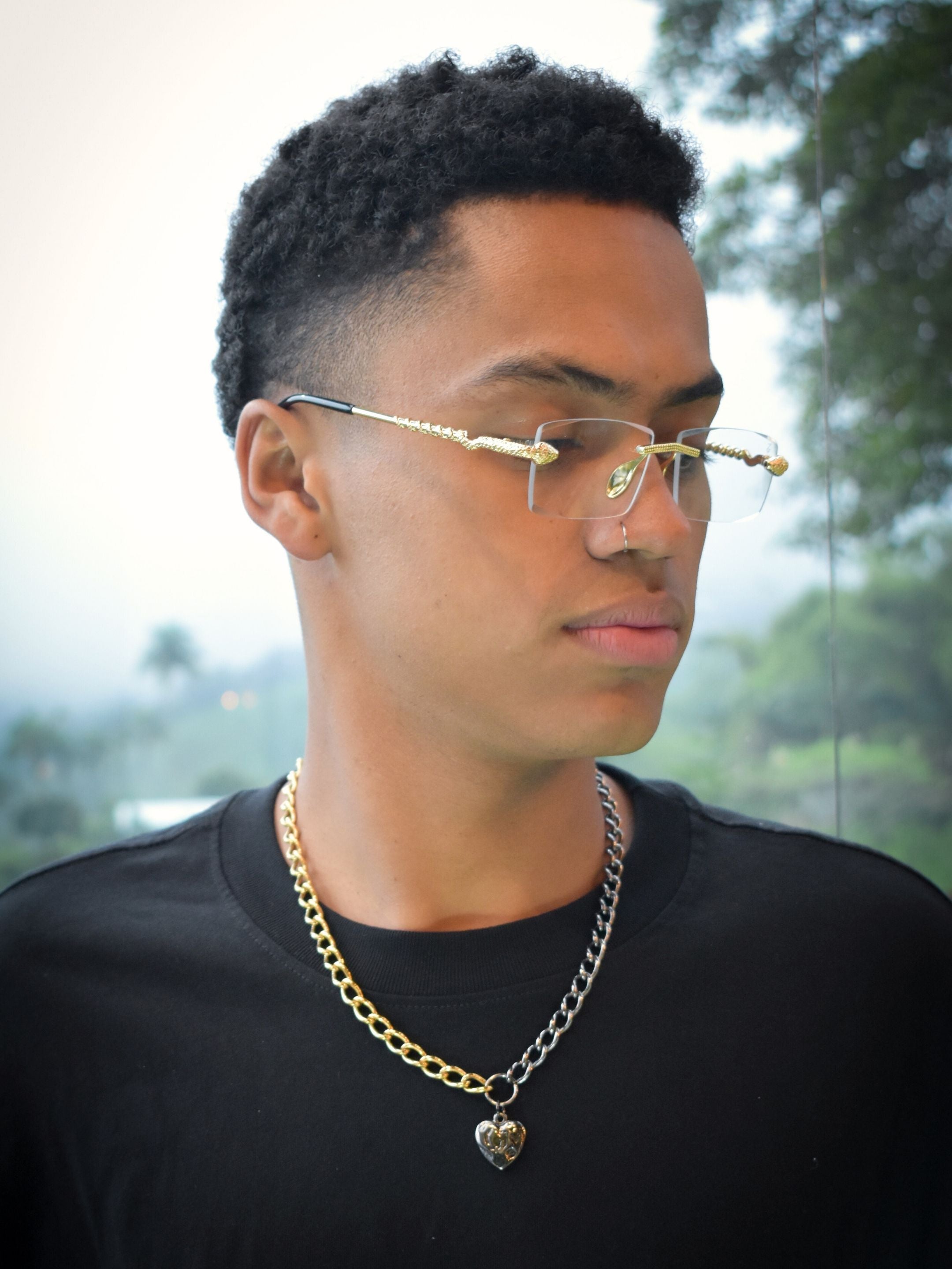 Serpent Fotocromatic