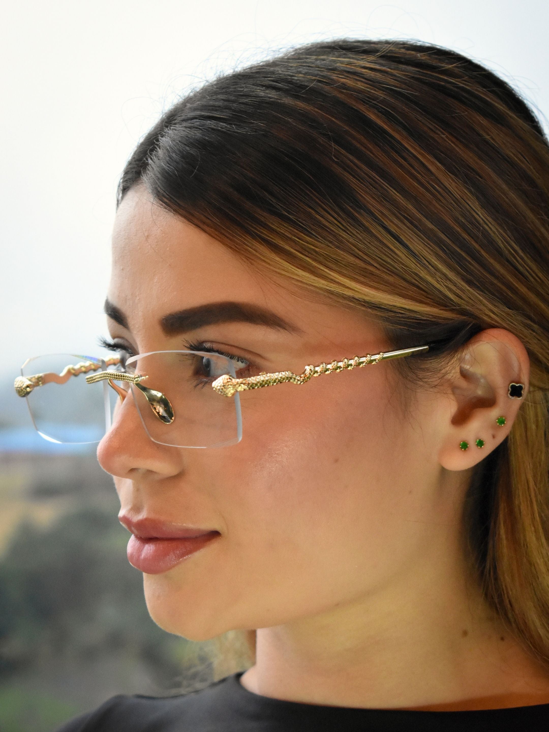 Serpent Transparente