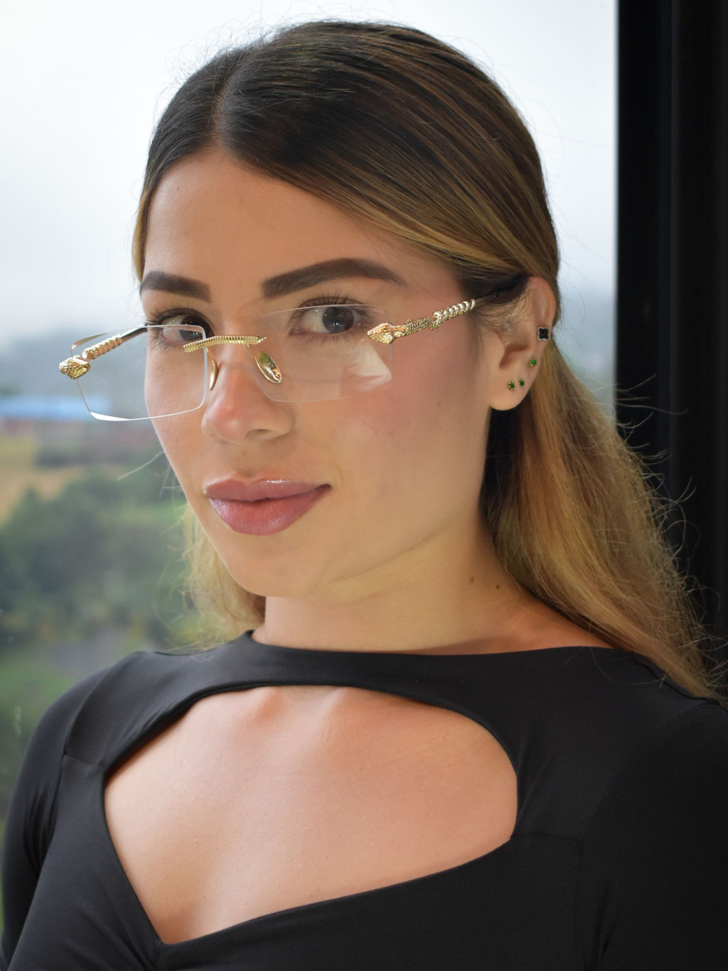 Serpent Fotocromatic